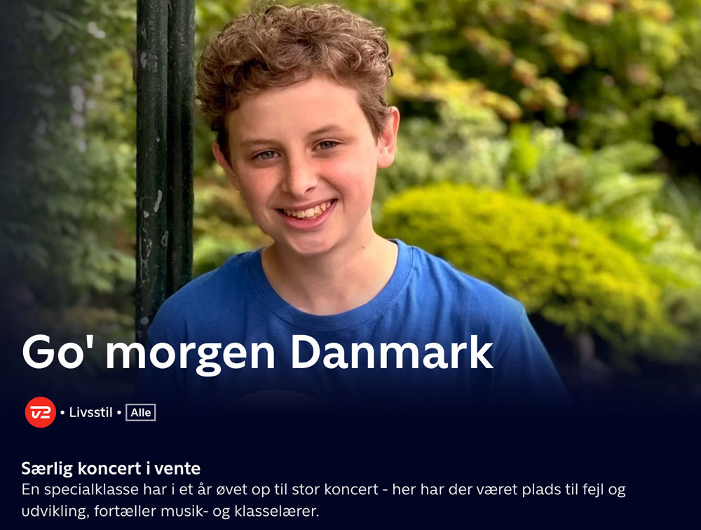 Mingus - Danske Musik- og Kulturskoler